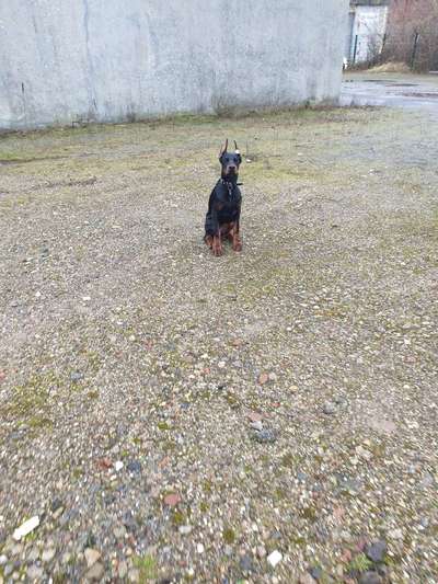 Lieblingsbild-Beitrag-Bild