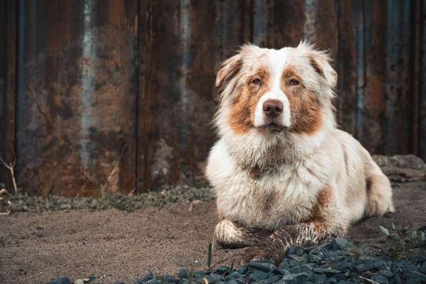 Fotochallenge Nr. 67: Euer Lieblingsbild-Beitrag-Bild