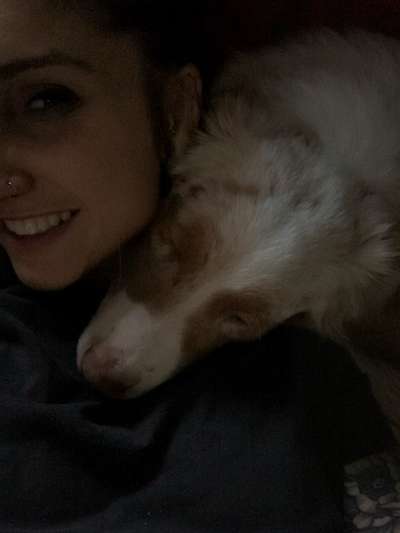 Darf der Hund bei Euch im Bett schlafen?-Beitrag-Bild