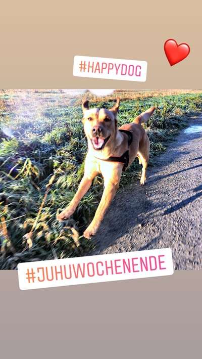 Fotochallange Nr. 6 Die irrsten Blicke-Beitrag-Bild