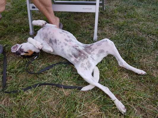 FOTO-Challenge  NR. 91: Die pure Entspannung-Beitrag-Bild