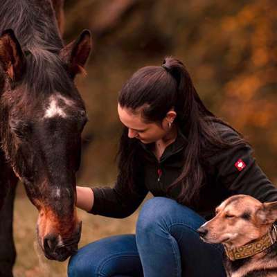 Medizinische Dienstleistungen-Tierphysiotherapie und Chiropraktik-Bild