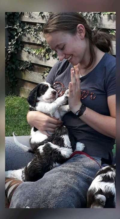 Welpen Bilder !-Beitrag-Bild