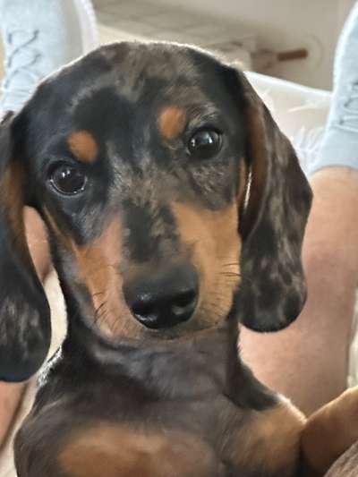 147. Foto Challenge: Bettelblick-Beitrag-Bild