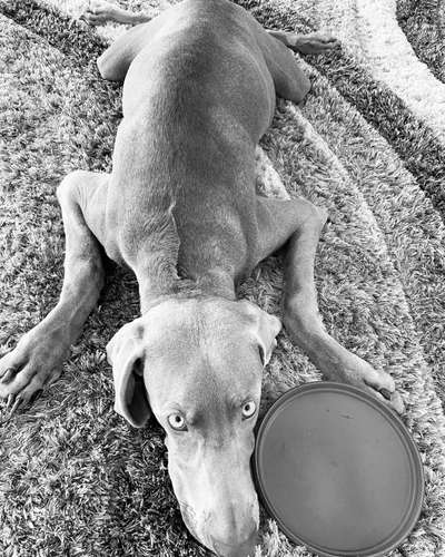 Foto-Challenge 76: Foto in Schwarz-Weiss-Beitrag-Bild