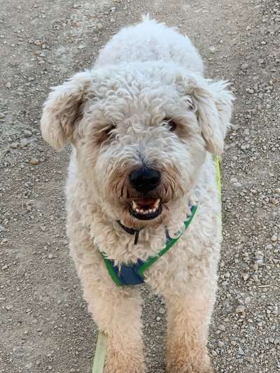 Fotochallange Nr. 57     PORTRÄT.   Beendet!!!!!!!!-Beitrag-Bild