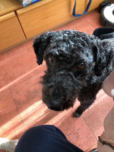 Fotochallange Nr. 57     PORTRÄT.   Beendet!!!!!!!!-Beitrag-Bild