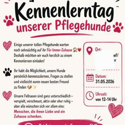 Hundetreffen-Kennenlerntag Pflegehunde Ankerhunde-Bild
