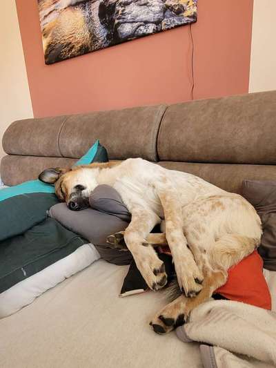 Moviestar-Pics!-Beitrag-Bild