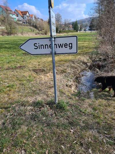 Hundeauslaufgebiet-Sinnesweg Bruckberg-Bild