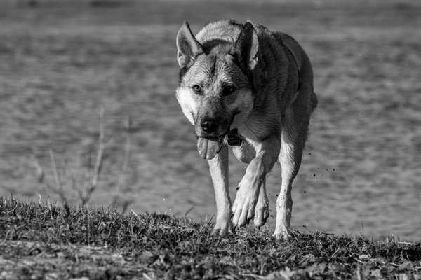 Austausch zur Fotografie-Beitrag-Bild