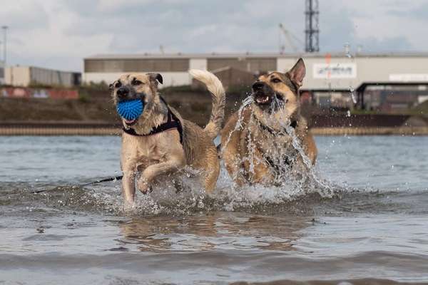 Eure schönsten Fotos mit Wasser-Beitrag-Bild