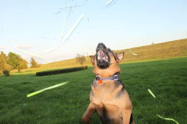 60. Handy Fotochallenge  -gleich schnapp ich es--Beitrag-Bild