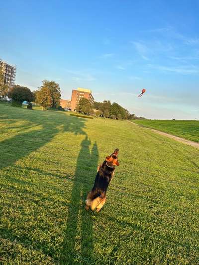 65. Handy Foto Challange                     "Ich kann nicht ohne..."-Beitrag-Bild