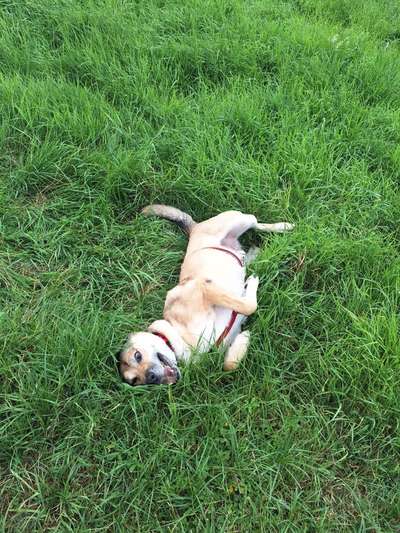 Foto Challenge - Zeigt her eure Bäuche-Beitrag-Bild