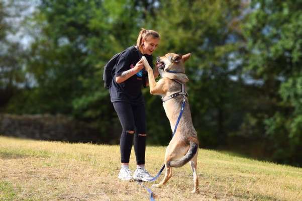 Dogorama Photo Challenge - Herzenshund-Beitrag-Bild