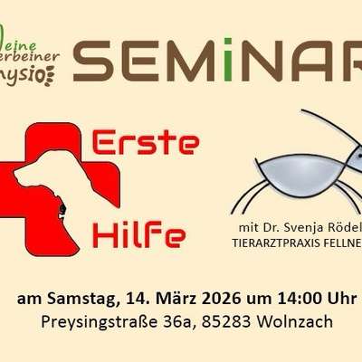 Hundetreffen-Erste Hilfe Kurs mit Dr. Svenja Rödel Praxis Fellner-Bild