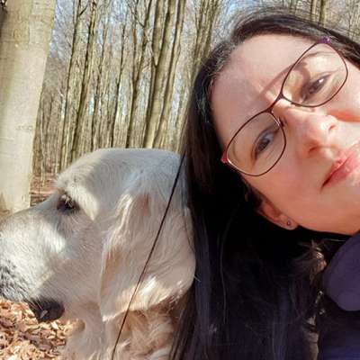 Hundetreffen-Gassi Treff-Profilbild