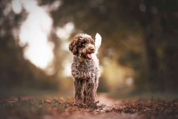 Lieblingsbild-Beitrag-Bild