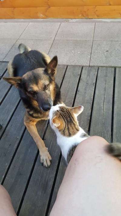 Fotochallenge Nr. 56 - geliebte Senioren-Beitrag-Bild