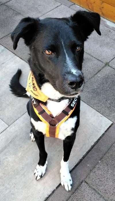 Zeigt eure Portraits-Beitrag-Bild