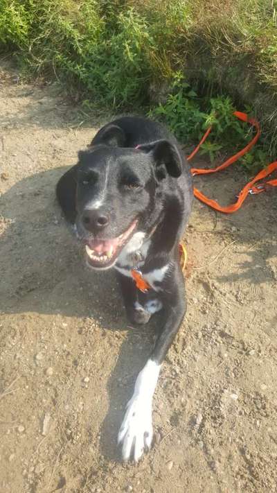 Lieblingsbild :D-Beitrag-Bild