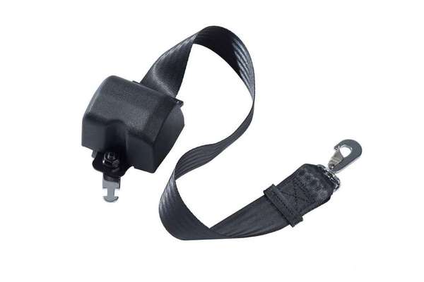 Wo fährt euer Hund im Auto mit?-Beitrag-Bild