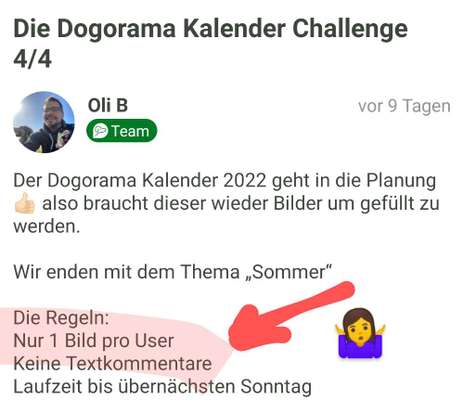 Die Dogorama Kalender Challenge 4/4-Beitrag-Bild
