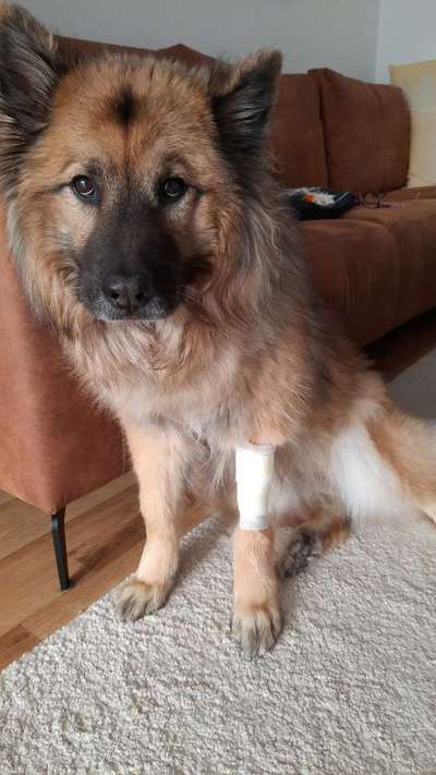 Fotochallenge 113: Auf frsicher Tat ertappt-Beitrag-Bild