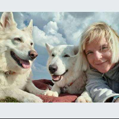 Hundetreffen-Seniorentreff altersgerechtes Laufen :)-Profilbild