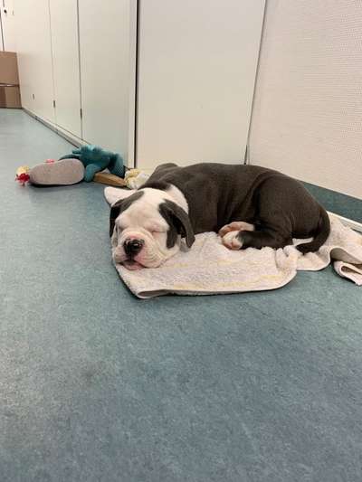 Zeigt her...-Beitrag-Bild