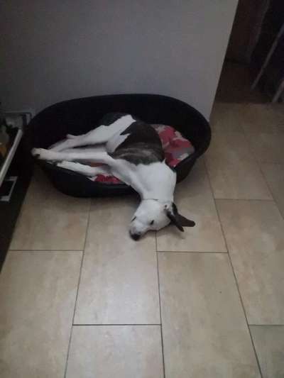 Die unbequemsten und lustigsten Schlafpositionen-Beitrag-Bild