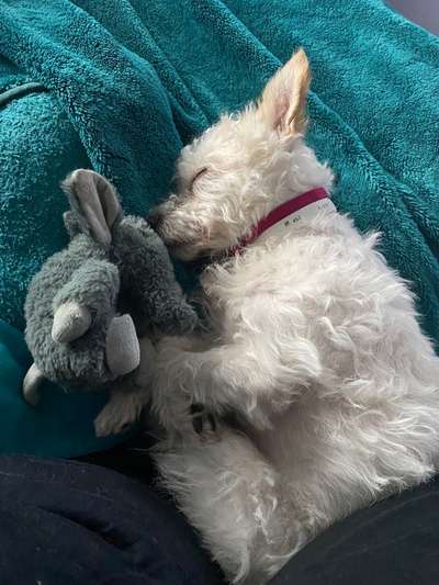 Lieblingsbild :D-Beitrag-Bild