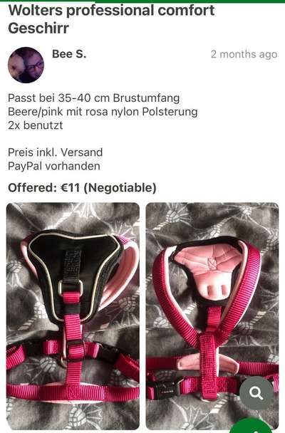 Suche Hunde Zubehör (Anny x, Leuchtie, Mantel, Leinen & co)-Beitrag-Bild