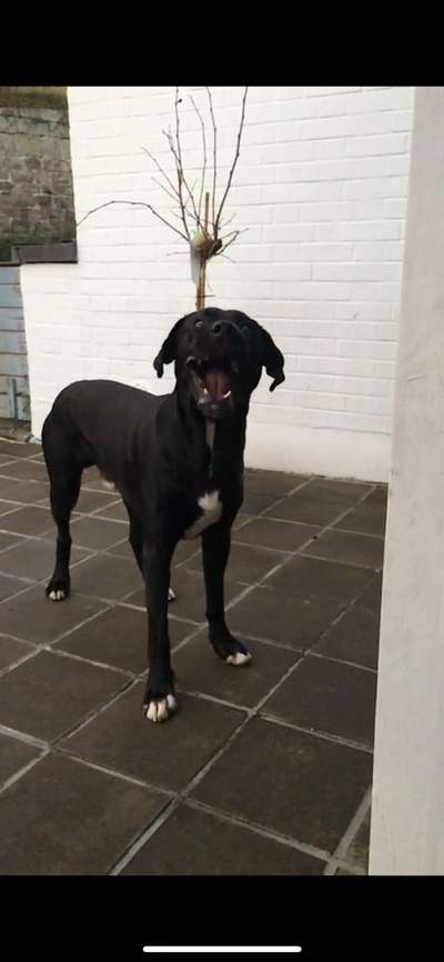 20. Handy -Foto-Callenge-Beitrag-Bild