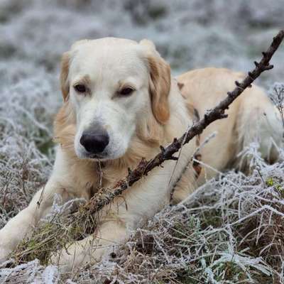 Zeigt eure Portraits-Beitrag-Bild