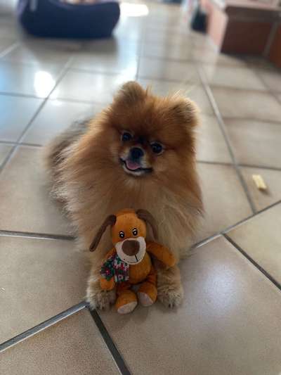 Vorher.... Nachher-Beitrag-Bild