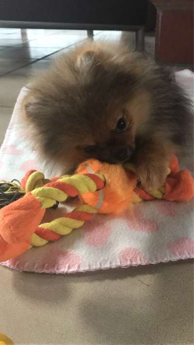 Vorher.... Nachher-Beitrag-Bild