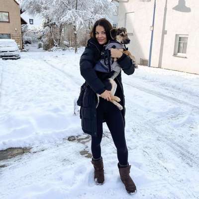 Hundetreffen-Spielfreund gesucht