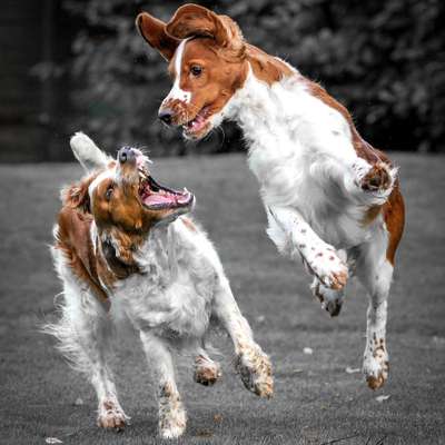 %{de_profession_title}-Bilder mit wau Effekt-Bild