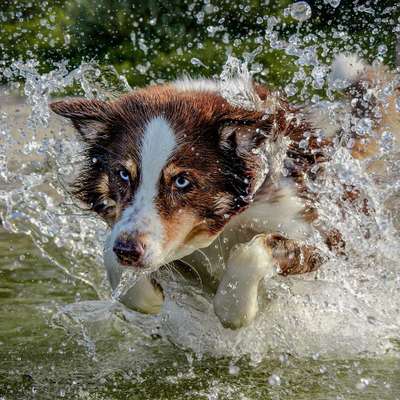 %{de_profession_title}-Wasser Fotoshooting-Bild