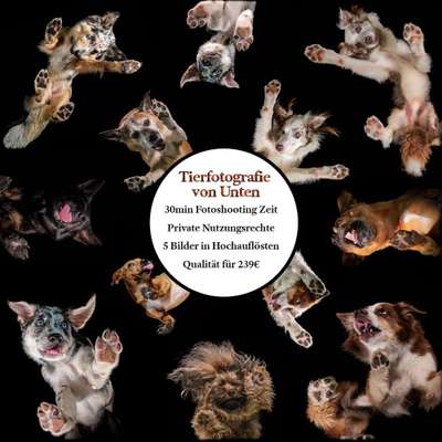 %{de_profession_title}-Tierfotografie von unten-Bild