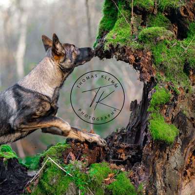 Tierfotografen-Thomas Klemm-Bild