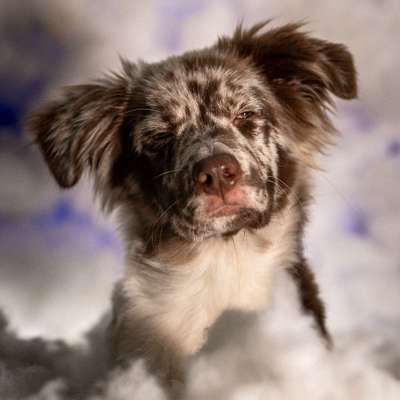 %{de_profession_title}-Porträtfotografie-Bild