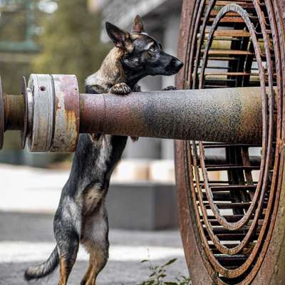 %{de_profession_title}-Industrie Fotoshooting-Bild