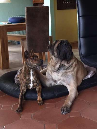 Zeigt her eure Kolosse!-Beitrag-Bild