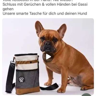 Qualzucht - Warum Aufklärung alleine nicht reicht-Beitrag-Bild