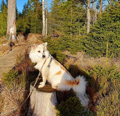 27. Handy Fotochallenge-Beitrag-Bild