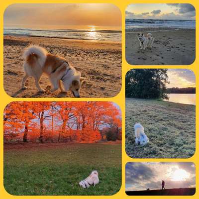 14. Collagen Challenge- Sonnenaufgang & -Untergang-Beitrag-Bild