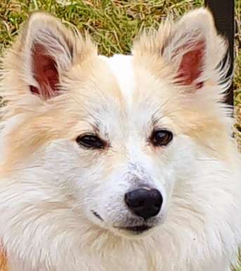 Zeigt eure Portraits-Beitrag-Bild